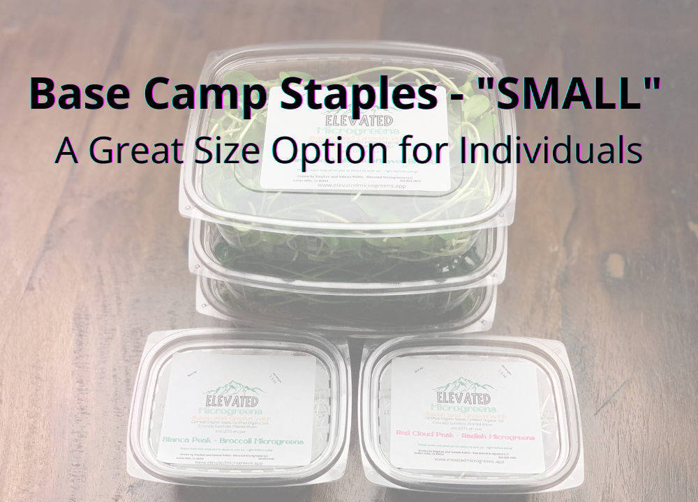 Option A - Base Camp Staples - 